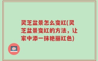 灵芝盆景怎么变红(灵芝盆景变红的方法，让家中添一抹艳丽红色)