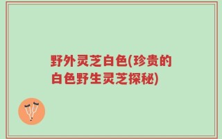 野外灵芝白色(珍贵的白色野生灵芝探秘)