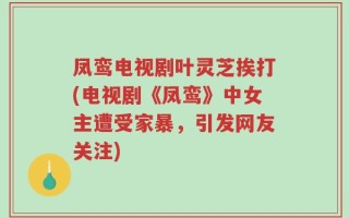 凤鸾电视剧叶灵芝挨打(电视剧《凤鸾》中女主遭受家暴，引发网友关注)