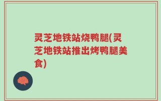 灵芝地铁站烧鸭腿(灵芝地铁站推出烤鸭腿美食)