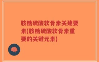 胺糖硫酸软骨素关建要素(胺糖硫酸软骨素重要的关键元素)