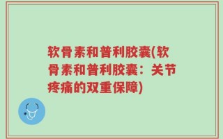 软骨素和普利胶囊(软骨素和普利胶囊：关节疼痛的双重保障)