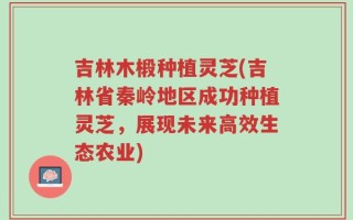 吉林木椴种植灵芝(吉林省秦岭地区成功种植灵芝，展现未来高效生态农业)