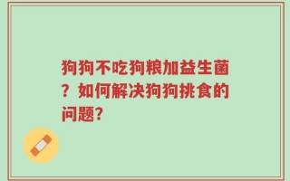 狗狗不吃狗粮加益生菌？如何解决狗狗挑食的问题？