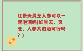 红景天灵芝人参可以一起泡酒吗(红景天、灵芝、人参共泡酒可行吗？)