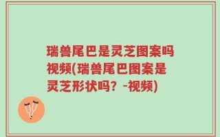 瑞兽尾巴是灵芝图案吗视频(瑞兽尾巴图案是灵芝形状吗？-视频)