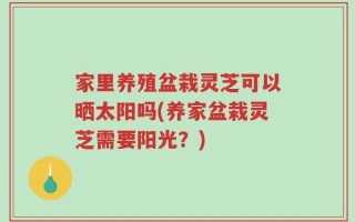 家里养殖盆栽灵芝可以晒太阳吗(养家盆栽灵芝需要阳光？)
