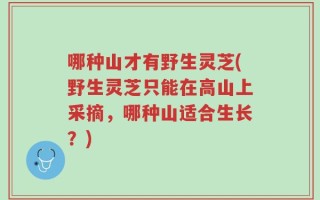 哪种山才有野生灵芝(野生灵芝只能在高山上采摘，哪种山适合生长？)