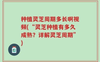 种植灵芝周期多长啊视频(“灵芝种植有多久成熟？详解灵芝周期”)