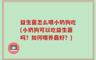 益生菌怎么喂小奶狗吃(小奶狗可以吃益生菌吗？如何喂养最好？)