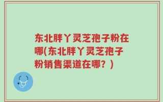 东北胖丫灵芝孢子粉在哪(东北胖丫灵芝孢子粉销售渠道在哪？)