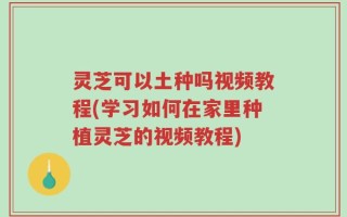 灵芝可以土种吗视频教程(学习如何在家里种植灵芝的视频教程)