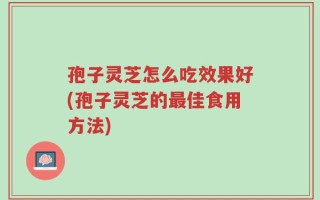 孢子灵芝怎么吃效果好(孢子灵芝的最佳食用方法)