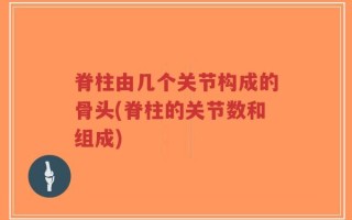 脊柱由几个关节构成的骨头(脊柱的关节数和组成)