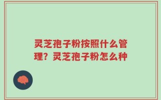 灵芝孢子粉按照什么管理？灵芝孢子粉怎么种