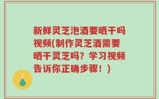 新鲜灵芝泡酒要晒干吗视频(制作灵芝酒需要晒干灵芝吗？学习视频告诉你正确步骤！)