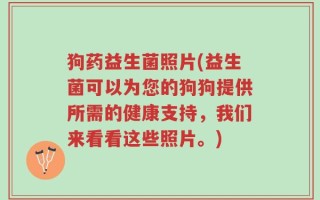 狗药益生菌照片(益生菌可以为您的狗狗提供所需的健康支持，我们来看看这些照片。)