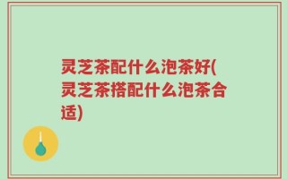 灵芝茶配什么泡茶好(灵芝茶搭配什么泡茶合适)