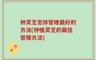 种灵芝怎样管理最好的方法(种植灵芝的最佳管理方法)
