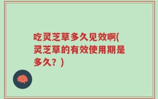 吃灵芝草多久见效啊(灵芝草的有效使用期是多久？)
