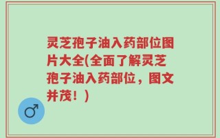 灵芝孢子油入药部位图片大全(全面了解灵芝孢子油入药部位，图文并茂！)