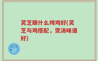 灵芝跟什么炖鸡好(灵芝与鸡搭配，煲汤味道好)