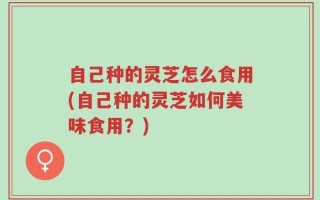 自己种的灵芝怎么食用(自己种的灵芝如何美味食用？)
