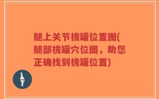 腿上关节拔罐位置图(腿部拔罐穴位图，助您正确找到拔罐位置)