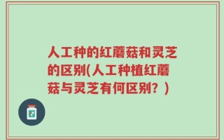 人工种的红蘑菇和灵芝的区别(人工种植红蘑菇与灵芝有何区别？)