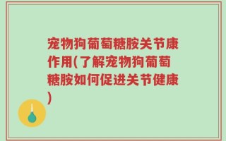 宠物狗葡萄糖胺关节康作用(了解宠物狗葡萄糖胺如何促进关节健康)