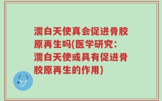 濡白天使真会促进骨胶原再生吗(医学研究：濡白天使或具有促进骨胶原再生的作用)