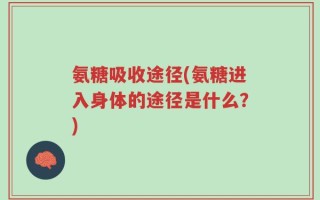 氨糖吸收途径(氨糖进入身体的途径是什么？)