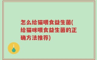 怎么给猫喂食益生菌(给猫咪喂食益生菌的正确方法推荐)