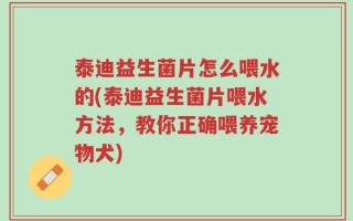 泰迪益生菌片怎么喂水的(泰迪益生菌片喂水方法，教你正确喂养宠物犬)