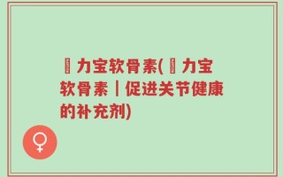 傦力宝软骨素(傦力宝软骨素｜促进关节健康的补充剂)