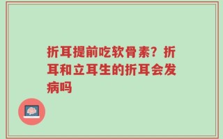 折耳提前吃软骨素？折耳和立耳生的折耳会发病吗