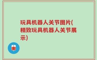 玩具机器人关节图片(精致玩具机器人关节展示)