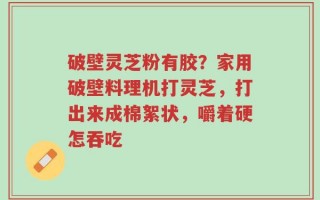 破壁灵芝粉有胶？家用破壁料理机打灵芝，打出来成棉絮状，嚼着硬怎吞吃