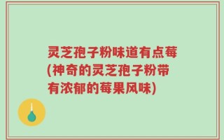 灵芝孢子粉味道有点莓(神奇的灵芝孢子粉带有浓郁的莓果风味)