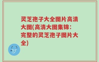 灵芝孢子大全图片高清大图(高清大图集锦：完整的灵芝孢子图片大全)