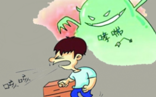 为什么灵芝孢子粉能治哮喘?