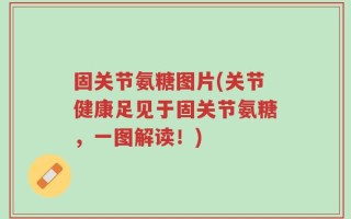 固关节氨糖图片(关节健康足见于固关节氨糖，一图解读！)