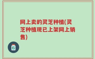 网上卖的灵芝种植(灵芝种植现已上架网上销售)