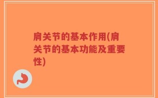 肩关节的基本作用(肩关节的基本功能及重要性)