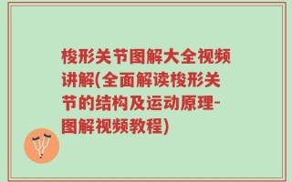 梭形关节图解大全视频讲解(全面解读梭形关节的结构及运动原理-图解视频教程)