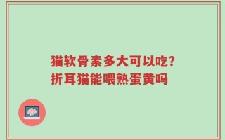 猫软骨素多大可以吃？折耳猫能喂熟蛋黄吗