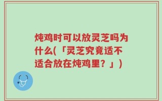 炖鸡时可以放灵芝吗为什么(「灵芝究竟适不适合放在炖鸡里？」)