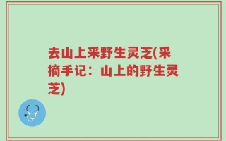 去山上采野生灵芝(采摘手记：山上的野生灵芝)