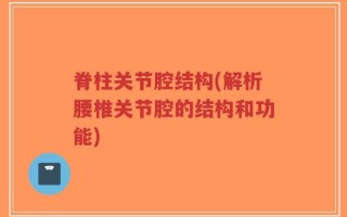 脊柱关节腔结构(解析腰椎关节腔的结构和功能)