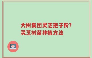 大树集团灵芝孢子粉？灵芝树苗种植方法